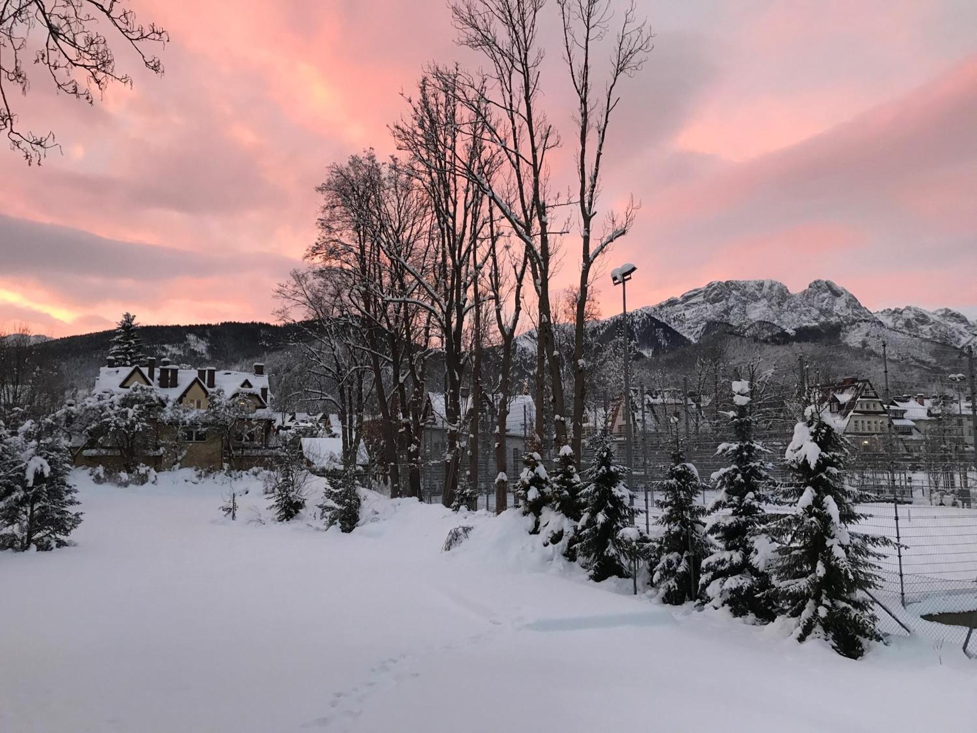 Willa Kmicic Zakopane Exteriér fotografie